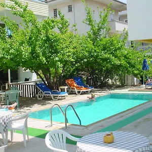 book here